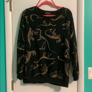 Dinosaur Sweatshirt